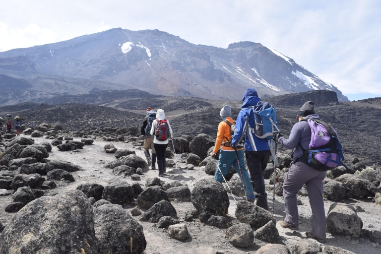 Kilimanjaro Climb - Rongai 6 dagen 5 nachten