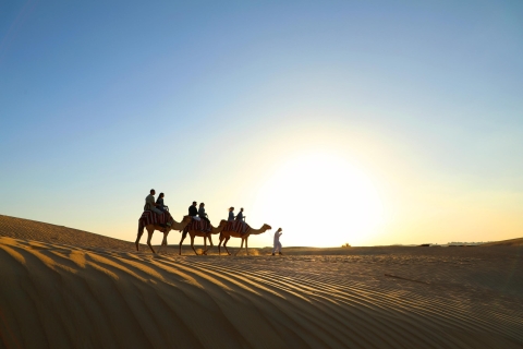 Dubai: quadrijden rode duinen, kamelenrit en barbecueTour met gedeelde motorfiets