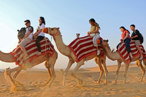 Dubai: Red Dune Bike Tour with Camel Ride and Barbecue Tour with Single Bike