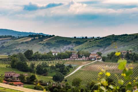 from bologna romagna region wine tasting tour