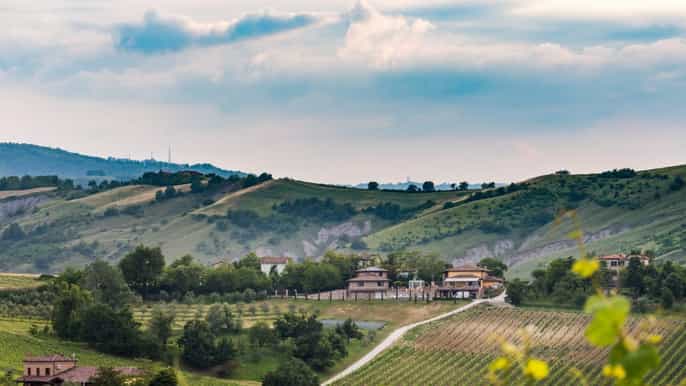 from bologna romagna region wine tasting tour