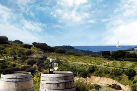 Barcelona: Sailing Cruise and Vineyard Visit with Tasting