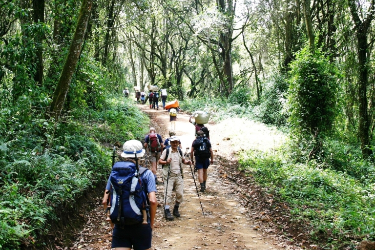 Ab Moshi: Geführte Tagestour zum KilimandscharoAb Moshi: Tagestour zum Kilimandscharo mit Bergführer
