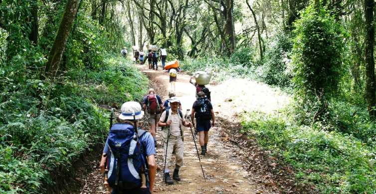 Моши: тур с гидом к горе Килиманджаро на 1 день