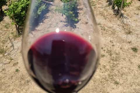 Crete: Private Winery Tour in Heraklion Wine Provence