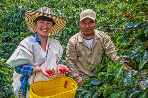 Cali: Authentic Coffee Tour Experience