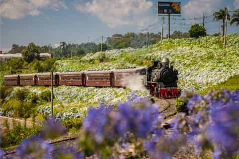 From Gramado and Canela: Maria Fumaça Train & Winery Tour
