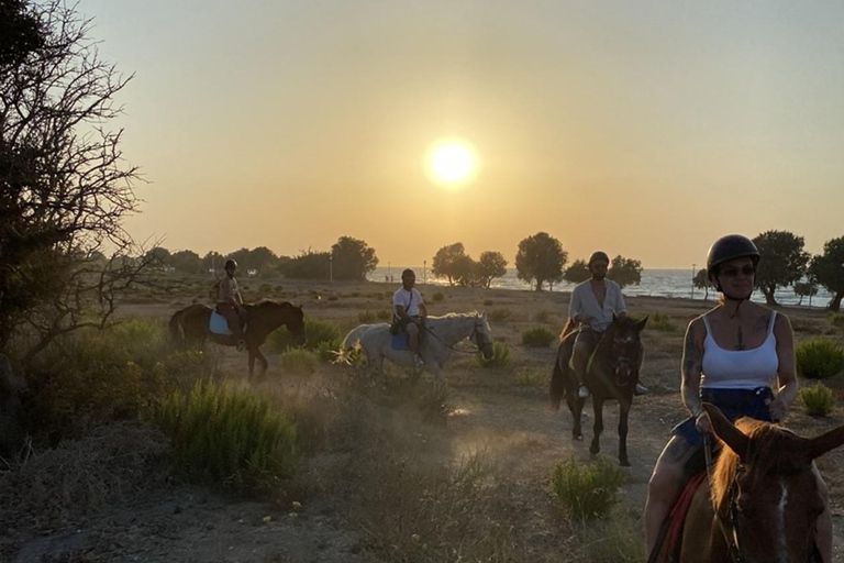 جزيرة رودس: ركوب الخيل على الشاطئ عند غروب الشمس