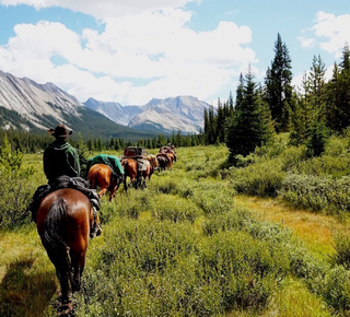 Horse Riding in Jasper, Alberta