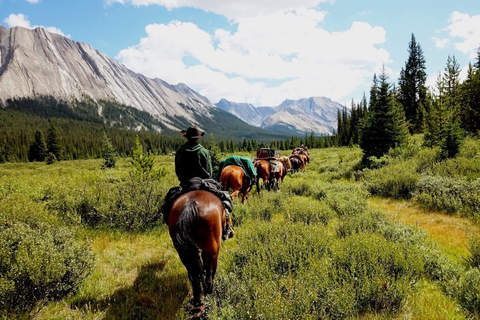 Combinazione delle Montagne Rocciose canadesi: tour in elicottero e giro a cavallo