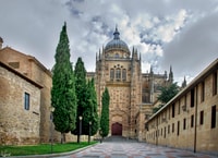 Salamanca, Private tour of the most important sites - Housity