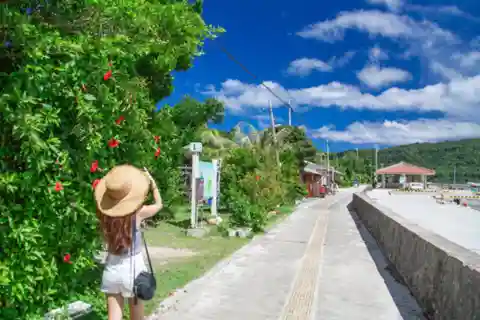 Iriomote: Full-Day Plan - Guided Photo Tour with Water