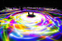TeamLab Planets Tokyo, Digital Art Museum Toegangsticket - Housity