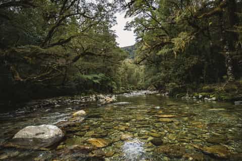 Fiordland National Park: Hidden Hankinson Day Hike