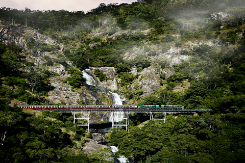 Från Port Douglas: Kuranda Tour med Skyrail &amp; Scenic Train