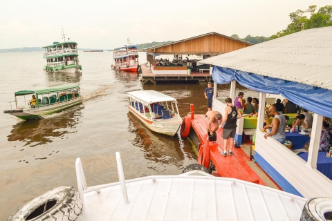 From Manaus Cruise Terminal: Amazon Rainforest Highlights Route 1 - 8-Hour Tour