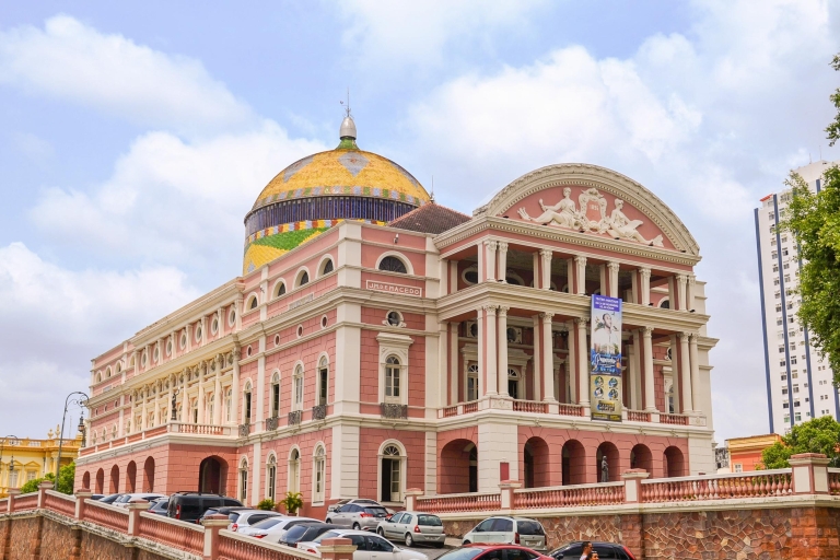 From Manaus Cruise Terminal: Amazon Rainforest Highlights Route 1 - 8-Hour Tour