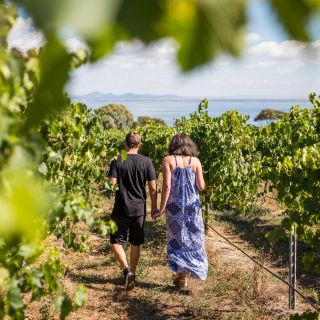Melbourne: Around the Bay Food & Wine Taste Trail