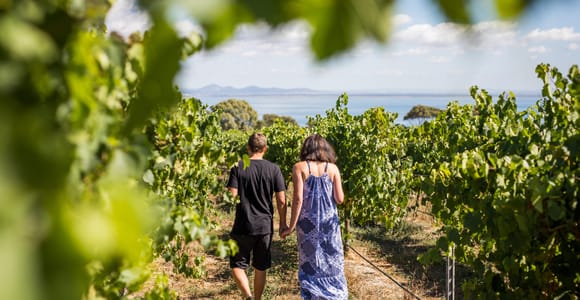 Melbourne: Around the Bay Food & Wine Taste Trail