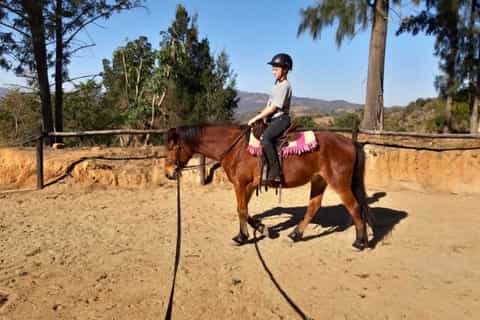 Nelspruit: excursão a cavalo de 1,5 horas