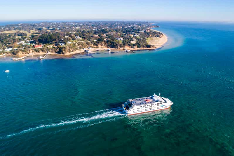 From Melbourne: Bay Sightseeing and Ferry Ride with Lunch | GetYourGuide