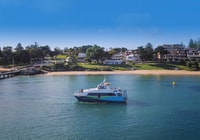 Melbourne, French and Phillip Island Wildlife Expedition - Housity
