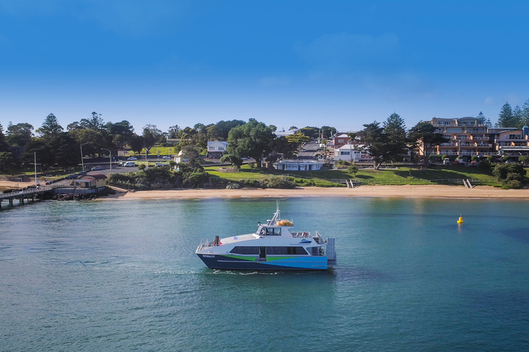 Melbourne : Expédition sur la vie sauvage en France et à Phillip Island