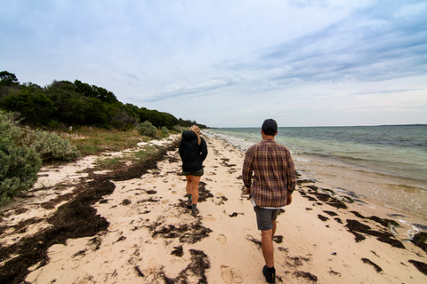 Melbourne: Franse en Phillip Island Wildlife Expeditie