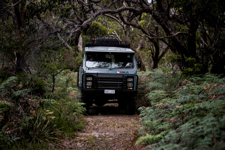 Melbourne: Franse en Phillip Island Wildlife Expeditie