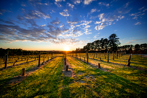 From Melbourne: Mornington Peninsula Food & Wine Taste Trail