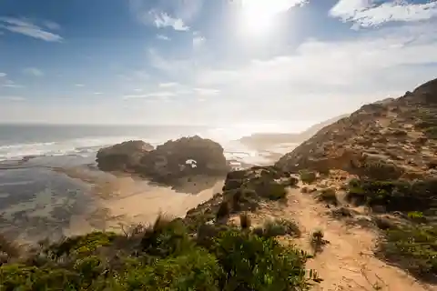 From Melbourne: Mornington Peninsula: Sightseeing Tour