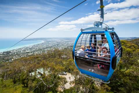 Mornington Peninsula: Sightseeing Tour with Bay Sailing