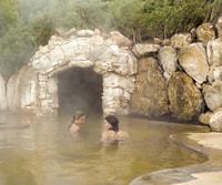 Desde Melbourne, Peninsula Hot Springs & Bathing Boxs Tour - Hizvo