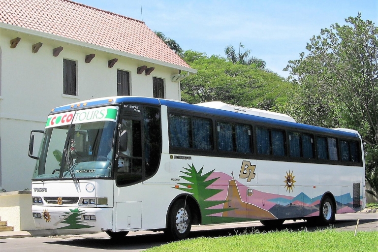 Punta Cana: transfert privé aller-retour à l'aéroportTransfert privé aller-retour de Punta Cana à Uvero Alto