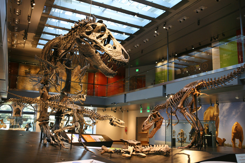 Los Ángeles: entrada al Museo de Historia Natural de LA