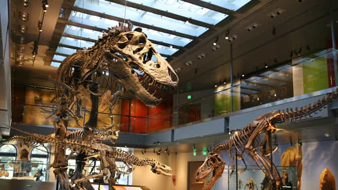 natural history museum of los angeles county tickets