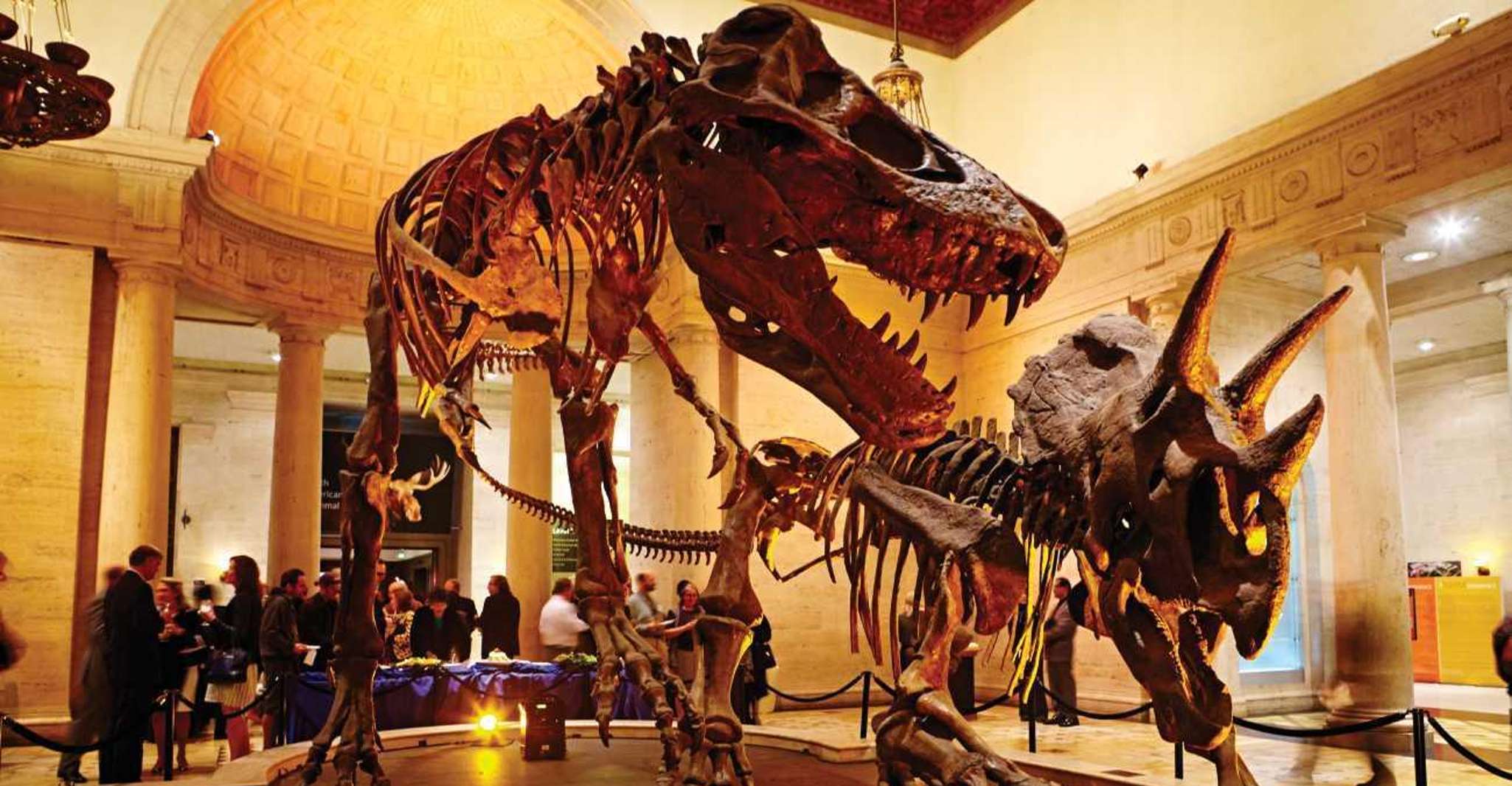 Los Angeles: Natural History Museum of LA Entry Ticket