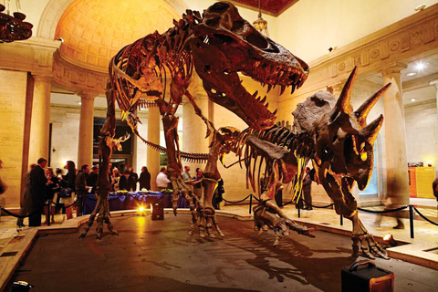 Los Ángeles: entrada al Museo de Historia Natural de LA