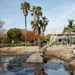 Los Angeles: biglietto per il museo La Brea Tar Pits