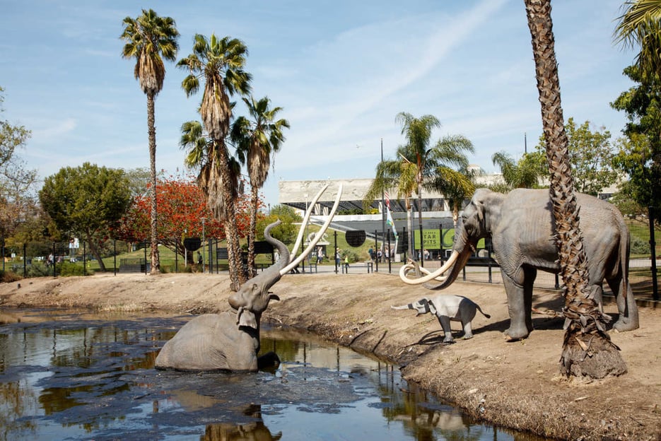 Los Angeles: La Brea Tar Pits Museum Ticket