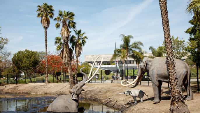 los angeles billet pour le musée de la mine brea tar pits