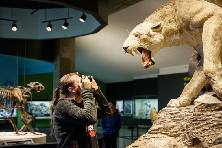 Los Angeles: La Brea Tar Pits Museum Ticket La Brea Tar Pits Museum Ticket