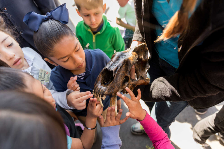 Los Angeles: La Brea Tar Pits Museum Ticket La Brea Tar Pits Museum Ticket