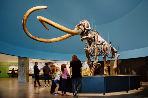 Los Angeles: La Brea Tar Pits Museum Ticket La Brea Tar Pits Museum Ticket