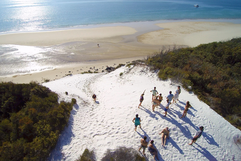 Île Fraser (K&#039;gari) : Île isolée et expérience avec les baleinesÎle Fraser (K&#039;gari) : île isolée et observation des baleines