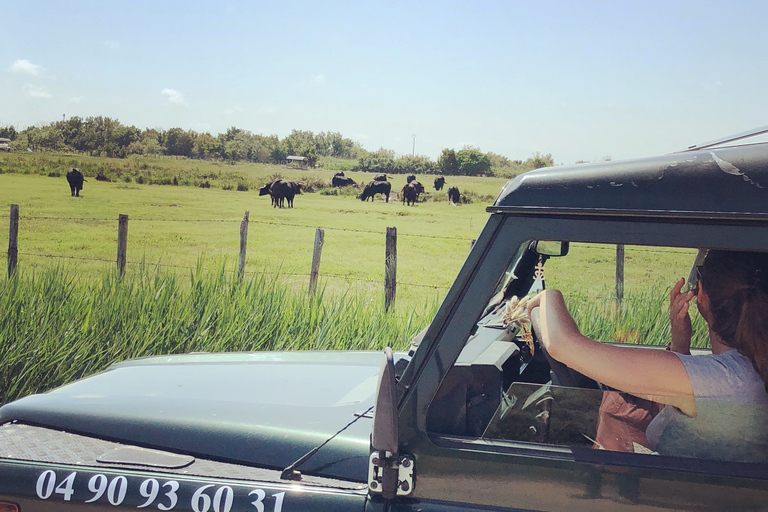 Camargue: Safari from Saintes-Maries-de-la-Mer Shared Tour