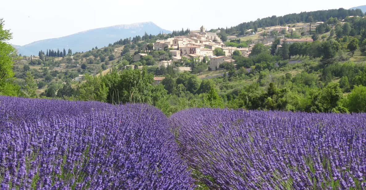 From Avignon Half Day Lavender Tour Of Luberon Getyourguide