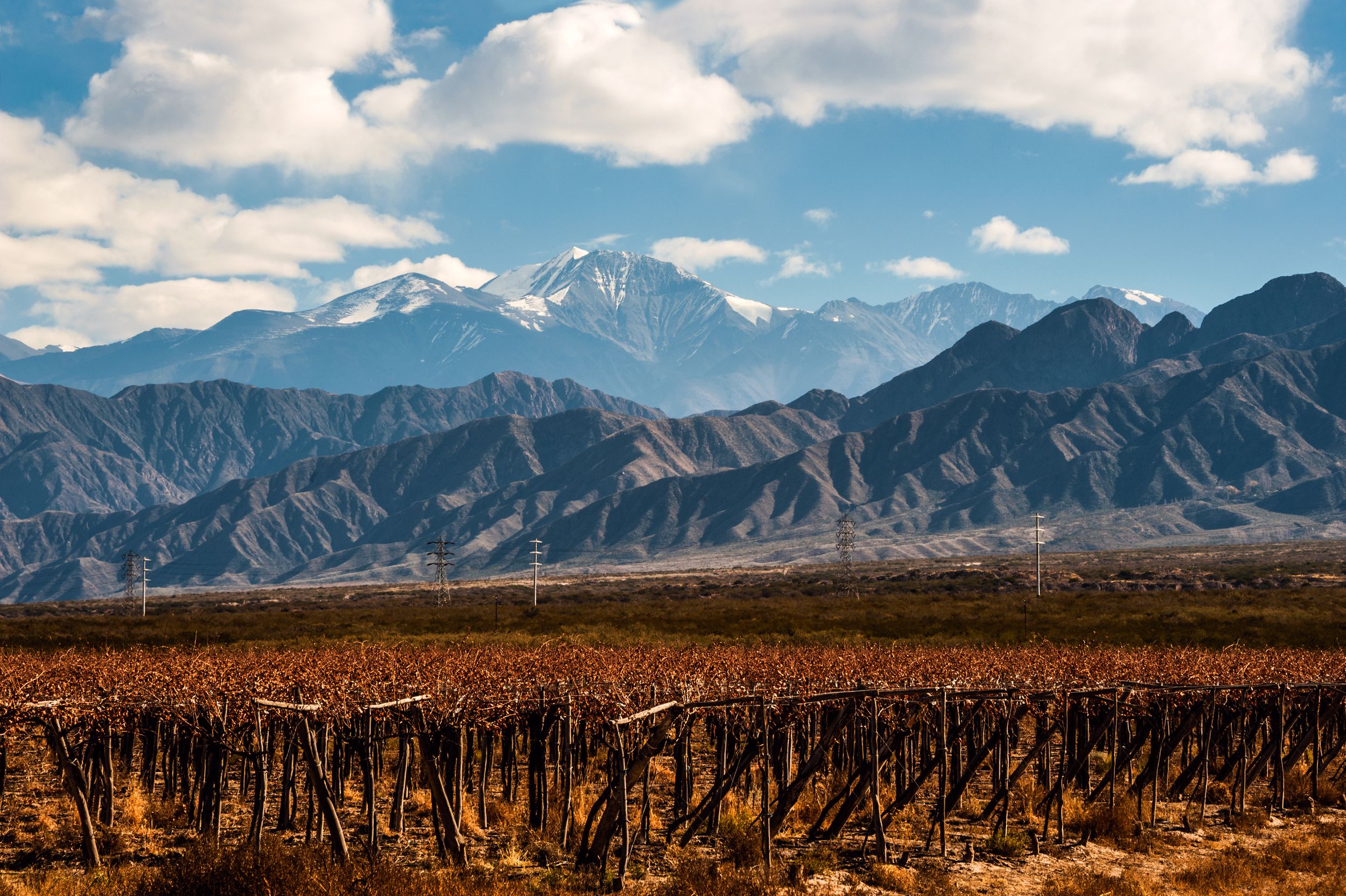Mendoza: Ganztagestour Wein mit 3-Gänge-Mittagessen
