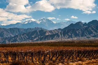 Gastronomic Experiences in Mendoza