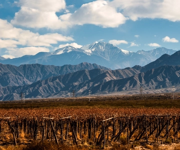Mendoza: Full Day Wine Tour with 3 Course Lunch